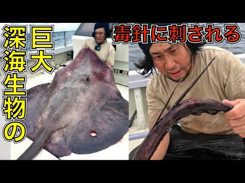 深海650mの巨大毒針生物に腕を刺されたらとんでもないことに…