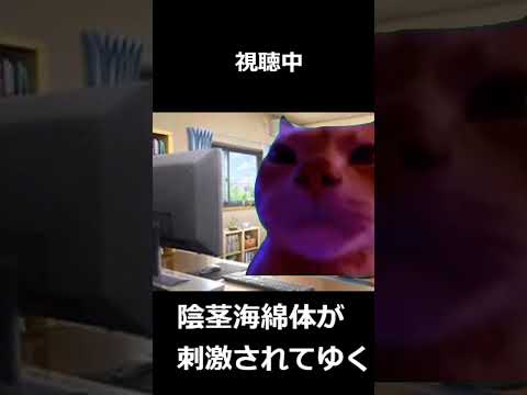 【猫ミーム】オナヌーがバレた日#shotrs #memes  続きはコメント欄からお願いします。