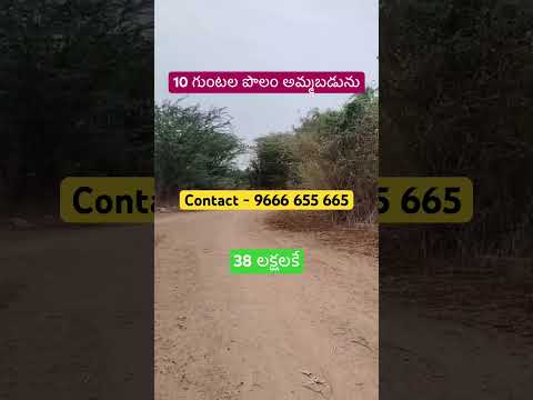 10 guntas agriculture land for sale #agriculturelandforsaleintelangana