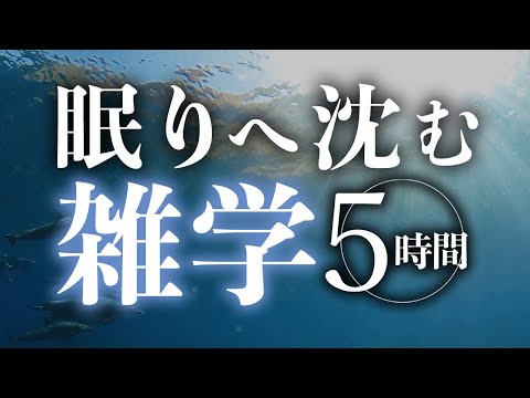 【睡眠導入】眠りへ沈む雑学5時間【合成音声】