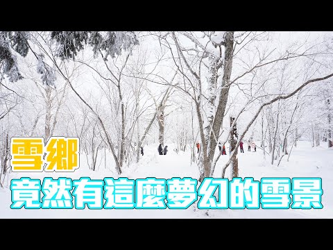 這裡的雪景一定美哭你