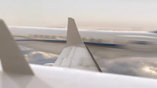 Gol Transportes Aéreos Flight 1907 - Crash Animation