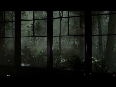 Relaxing Rain Sounds and Thunder Sounds - Rain on Window & Rain in Forest at Night - 8 Hours