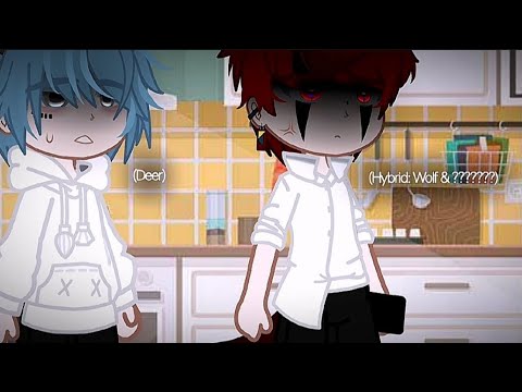 "Of course... I will make sure"//Meme//Gacha BL(Omegaverse)