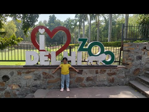 #delhizoologicalpark  #delhizoo #zoodayout #preschoolerfun #fundayatzoo #funinzoo #familyatzoo #zoo