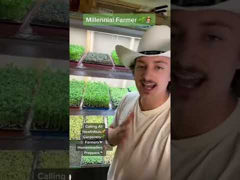 Millenial Farmer earnings | Credit: blohmtreezy