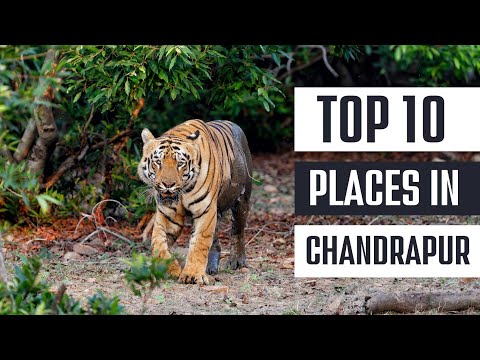 Top 10 tourist places in chandrapur | Chandrapur tourist places | Places to visit in Chandrapur |