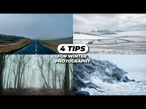 4 Tips to Overcome the Winter Photography Blues | Tutorial Tuesday