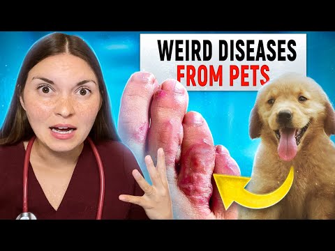 Can your PETS make you SICK? Doctor Explains 5 Real Cases