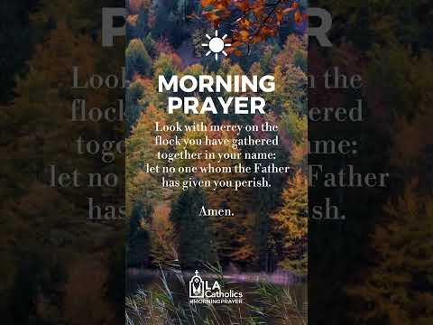 November 6th Morning Prayer #shorts