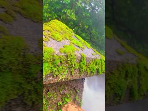 #harvalem waterfall Goa