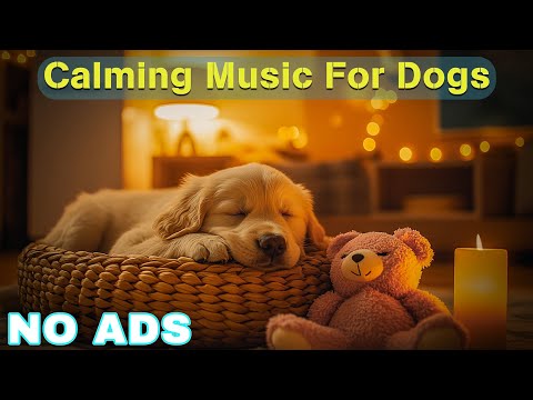 12 Hours of Dog Calming Music For Dogs 💖 Dog Separation Anxiety Music 🐶 Pet claming music🎵No Ads