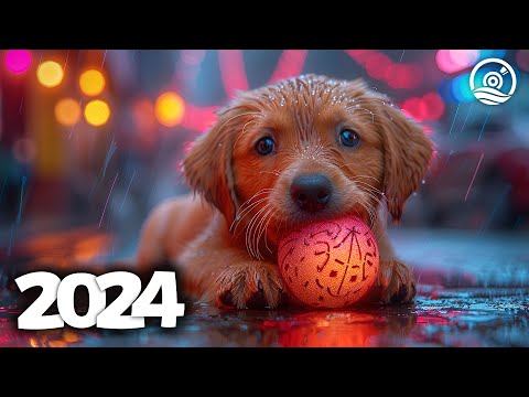 Music Mix 2024 🎧 EDM Mixes of Popular Songs 🎧 EDM Bass Boosted Music Mix #210