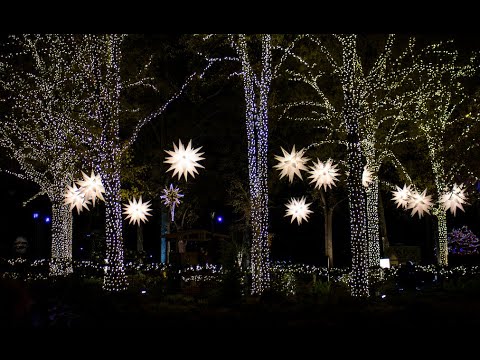 Holiday Traditions at Carowinds' WinterFest