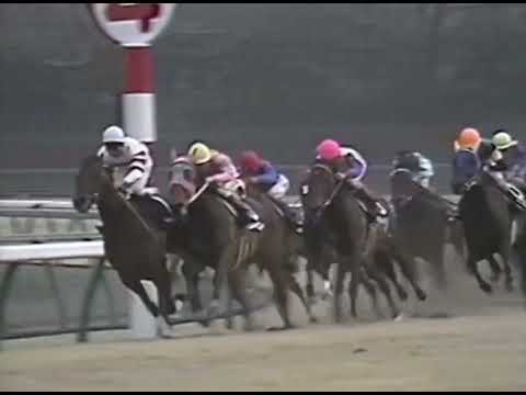 ヤマニンゼファー 1991年  第25回スプリンターズステークス(GI) (優勝馬：ダイイチルビー) (実況：ラジオたんぱ)