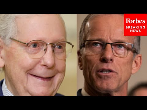 'The Entire Republican Congress Stands United': Mitch McConnell Congratulates Successor John Thune