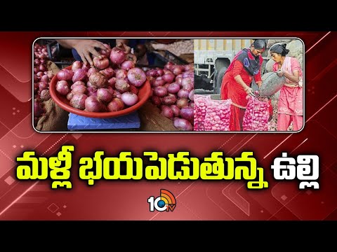 Onion Price Hike | ఉల్లి కొనాలంటే భయపడుతున్న జనం | 10TV