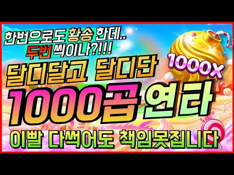 [슬롯][생방송]🔥스위트보난자1000 : Sweet Bonanza 1000🔥슈퍼스핀보는법🔥[프라그마틱][온라인슬롯][강원랜드][슬롯머신][조교슬롯][슬롯실시간][슬롯잭팟]