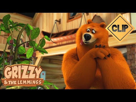 🌱 Green thumb 🐻🐹 Grizzy & the Lemmings / Cartoon