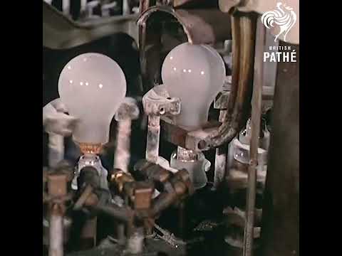 Oddly Satisfying Light Bulb Factory  #satisfying  #vintage   #manufacturing  #howitsmade