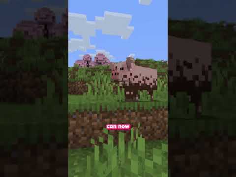 Minecraft’s Better Animals Mod: Realistic Farm Animal Upgrade! 🐄 #Shorts