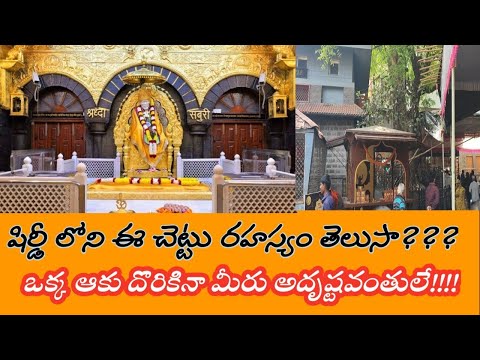 #Shiridi లోని ఈ చెట్టు రహస్యం తెలుసా ? Shiridi full tour in telugu | Shiridi Tourist places  II