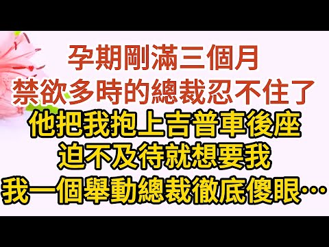 《三崽炸翻天》第06集：孕期剛滿三個月，禁欲多時的總裁忍不住了，他把我抱上吉普車後座，迫不及待就想要我，我一個舉動總裁徹底傻眼……#戀愛#婚姻#情感 #愛情#甜寵#故事#小說#霸總