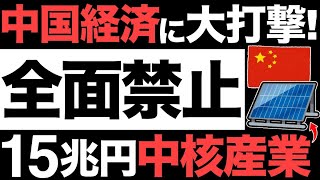 【衝撃】中国経済に大打撃！中国製を全面禁止！15兆円の中核産業がとんでもないことに…【太陽光パネル】