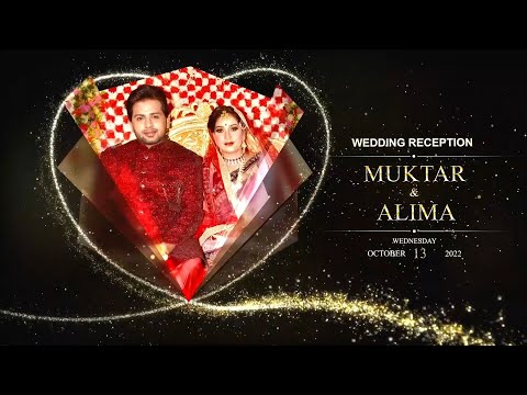 Beautiful Wedding Reception Video | Muktar & Alima | RajAlima Vlog | Marriage Reception Video