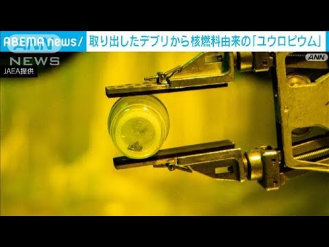 福島第一原発から取り出したデブリ　核燃料由来の成分「ユウロピウム」確認　東京電力(2024年11月14日)