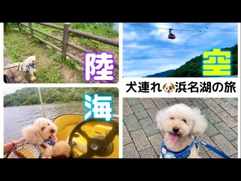 【浜名湖お誕生日旅行✨前編】陸・海・空を満喫🛥️🐶ワンコ