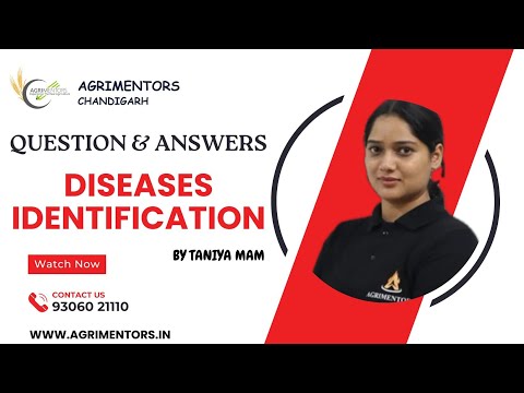 Disease Identification | Questions and Answers |