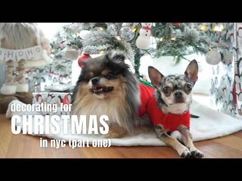 Christmas in NYC: Decorating our NYC Apartment with Our Dogs (Part One) | Life in NYC