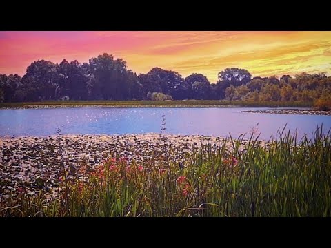 Relaxing sleep music 30 minutes - Sleep music 2021