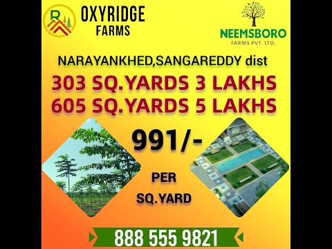 Farmlands for sale #neemsboro #hyderabad #viral #farmlandsforsale #lowbudget #sale #india #telangana