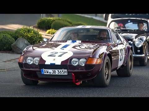 Classic Cars & Oldtimer at the Nürburgring- M1, 300SL, F40, Pantera, Daytona Competizione, 3.0CSL..