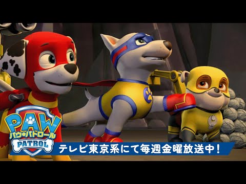 パウ・パトロール | 最強の子犬たち全員集合！ | テレビ東京系にて放送中