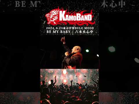 鴨頭嘉人『 BE MY BABY - 六本木心中』LIVE“KAMOバンドTour2024東京”ショート06