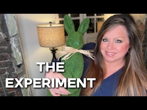 Join Me For A Little Experiment | Spring Decorating | Two Spaces