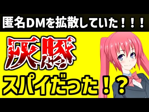 灰豚スパイ説を考える。匿名DMを拡散するなど不審な動きをしていたのは事実です【赤坂物語　#1】※必ず最後まで見てからコメントしてください