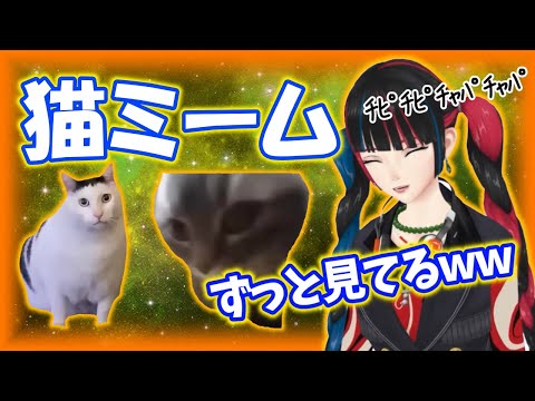 猫ミームにハマって笑いが止まらない春猿火【春猿火】【切り抜き】【神椿/V.W.P】