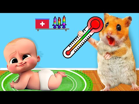 Hamster Maze: Pretend A Doctor Check Up Bro In Real Life | Life Of Pets HamHam