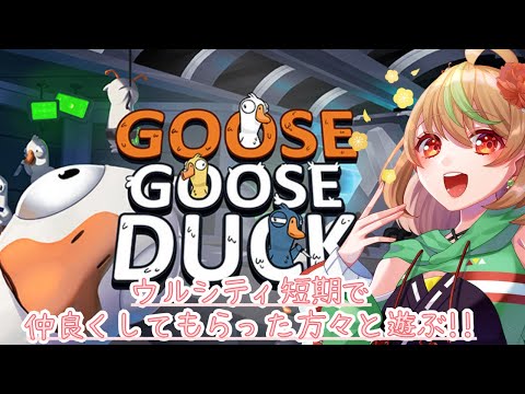 【Goose Goose Duck】ウルシティ短期で仲良くしてもらった方々と遊ぶ!!【優尾あみい視点】