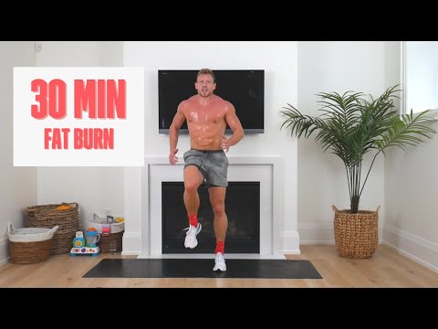 BEST 30 MIN FULL BODY FAT BURN WORKOUT (NO EQUIPMENT)