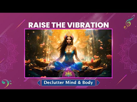 Raise The Vibration" Clear The Clutter" Declutter Mind & Body - Enhance Mental & Physical Well-Being