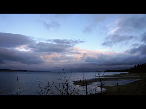 Pacific Northwest Beach at Dusk- 2 hour Beach Ambience