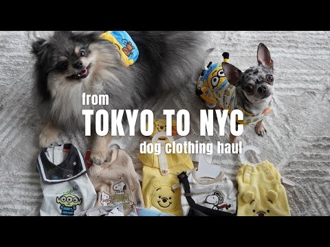 From Tokyo To NYC: Dog Clothing Haul! | Life in NYC