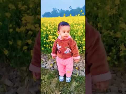 এখানে কে সুন্দর সরিষা ফুল নাকি আমার কিউট বাবা #cutebaby #babyboy #toyes