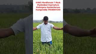 #nh65 #landforsale 7 #lack #hyderabad #agriculture #telangana #patancheruvu #sangareddy #9640041044