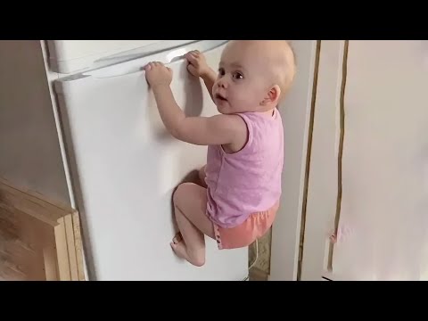 Laugh Out Loud with These Cute and Funny Baby Videos